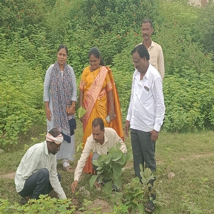 गॅलरी प्रतिमा 2